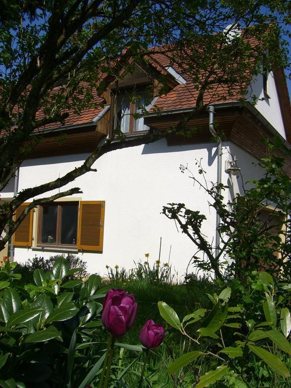 Ferienwohnung Lucia Huber Ульдинген-Мюльхофен Номер фото