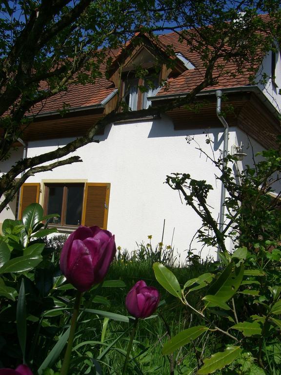 Ferienwohnung Lucia Huber Ульдинген-Мюльхофен Номер фото
